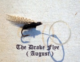 The Drake Fly