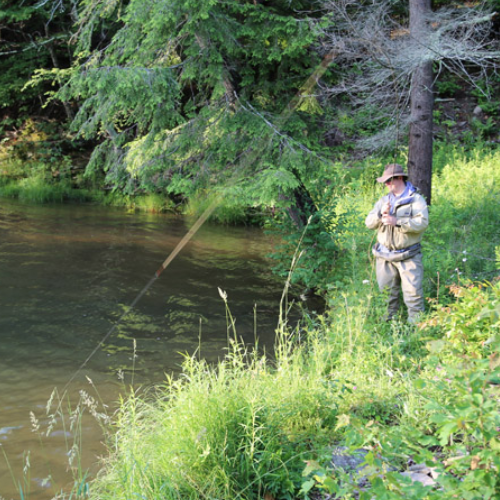 About Us - American Museum of Fly Fishing