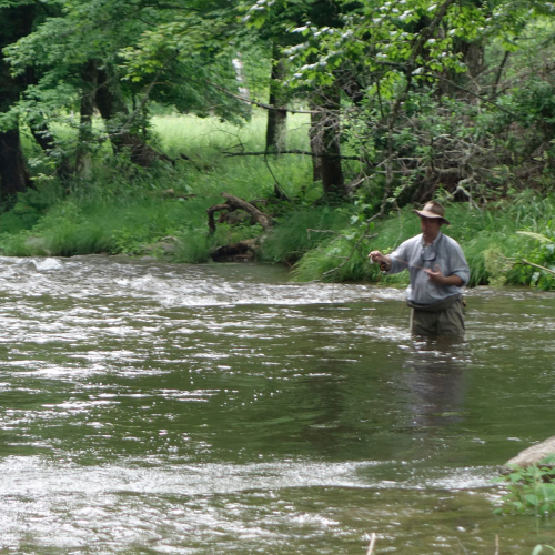 About Us - American Museum of Fly Fishing