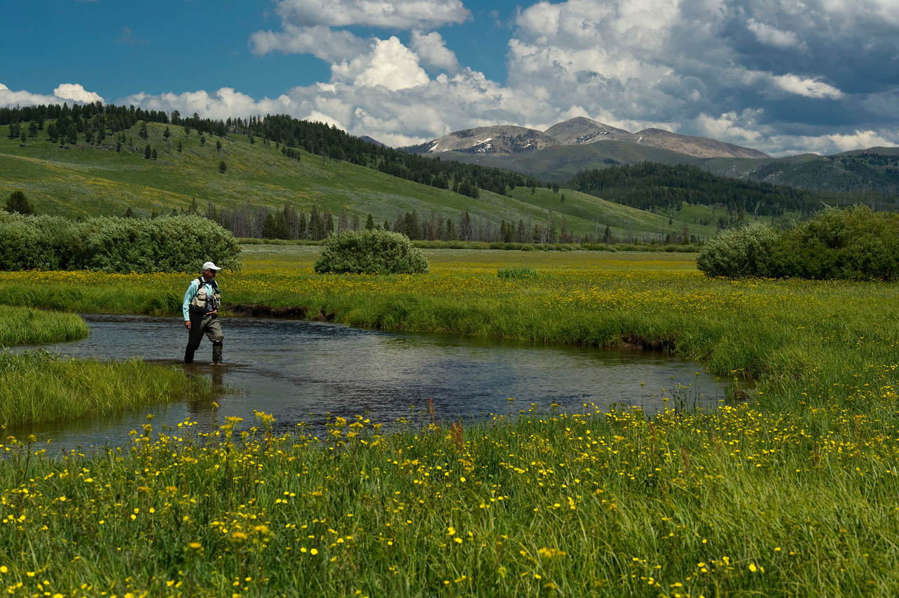 Peter Nardini, Author at American Museum Of Fly Fishing