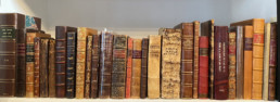 A row of books from the Thacher collection on a bookshelf.