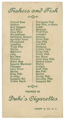 Fishers and Fish. Striped Bass, Salmon, Red Snapper, Red Fish, Blue Fish, Mukallonge, California Salmon, Speckled Trout, Sheepshead, Grayling, Weak Fish, Mullet, Mackerel, Carp, Sea Bass, Pickerel, Black Bass, Spanish Mackerel, Pompano, Lake Trout, Bonito, King Fish, Herring, Lamprey Eel, Yellow Perch, Porcupine Fish, Ray Fish or Skate, Loach, Blennies, Wolf Fish, Gurnard, Remora, Globe Fish, Pipe Fish, Cat Fish, Sturgeon, Golden Carp, Klipp Fish, Trunk Fish, Sea Horse, John Dory Fish, Barbed Loach, Mullet, Sculpin, Gold Fish, Gar Fish, Burbot, Flying Fish, Shooting Fish, Lamprey Eel. Packed in Duke's Cigarettes. Knapp & Co., N.Y.