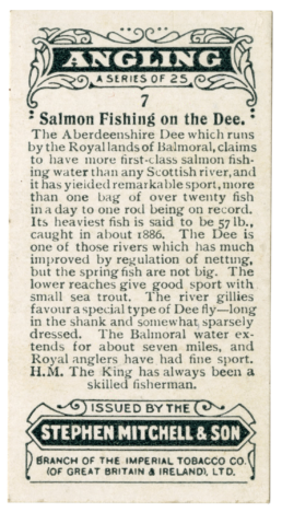 Angling: A Series of 25. 7 Salmon Fishing on the Dee. The Aberdeenshire Dee, which runs by the Royal lands of Balmoral, claims to have more first-class salmon fishing water than any Scottish river, and it has yielded remarkable sport, more than one bag of over twenty fish in a day to one rod being the record. its heaviest fish is said to be 57 lb., caught in about 1886. The Dee is one of those rivers which has been much improved by regulation of netting, but the spring fish are not big. The lower reaches give good sport with small sea trout. The river gillies favour a special type of Dee fly—long in the shank and somewhat sparsely dressed. The Balmoral water extends for about seven miles, and Royal anglers have had fine sport. H.M. the King has always been a skilled fisherman. Issued by the Stephen Mitchel & Son branch of the Imperial Tobacco Co. (of Great Britain and Ireland), Ltd.