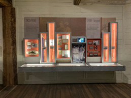 The 1900 to present section of the timeline at the AMFF Gallery at the Wonders of WIldlife Museum.
