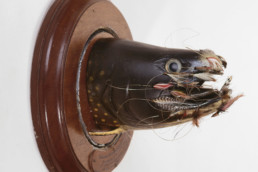 A carving of a brook trout from the gills to the nose. Various flies are hooked around the entirety of the mouth.