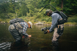 Rachel Finn, standing in a stream, bends toward her net. A cameraman standing across from her focuses his. lens on her hands.