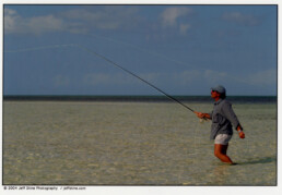 Jose Wejebe makes a forward cast while standing shin-deep in water on a saltwater flat.
