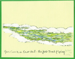 An illustration of a river. Hidden among the blues and greens of the water is the outline of a single trout. Captioned, 