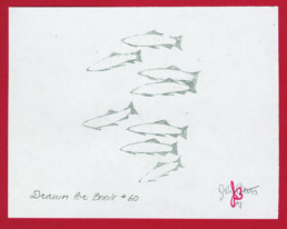 Eight pencil outlines of swimming trout, arranged horizontally. The caption says 