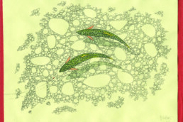 An overhead illustration of two trout in a stream. Different sizes of rocks are clustered together like carbon dioxide bubbles in a glass. Green trout with black markings cast shadows as they swim; one is eying a red fly at the end of a line. It's signed 