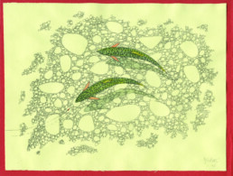 An overhead illustration of two trout in a stream. Different sizes of rocks are clustered together like carbon dioxide bubbles in a glass. Green trout with black markings cast shadows as they swim; one is eying a red fly at the end of a line. It's signed 