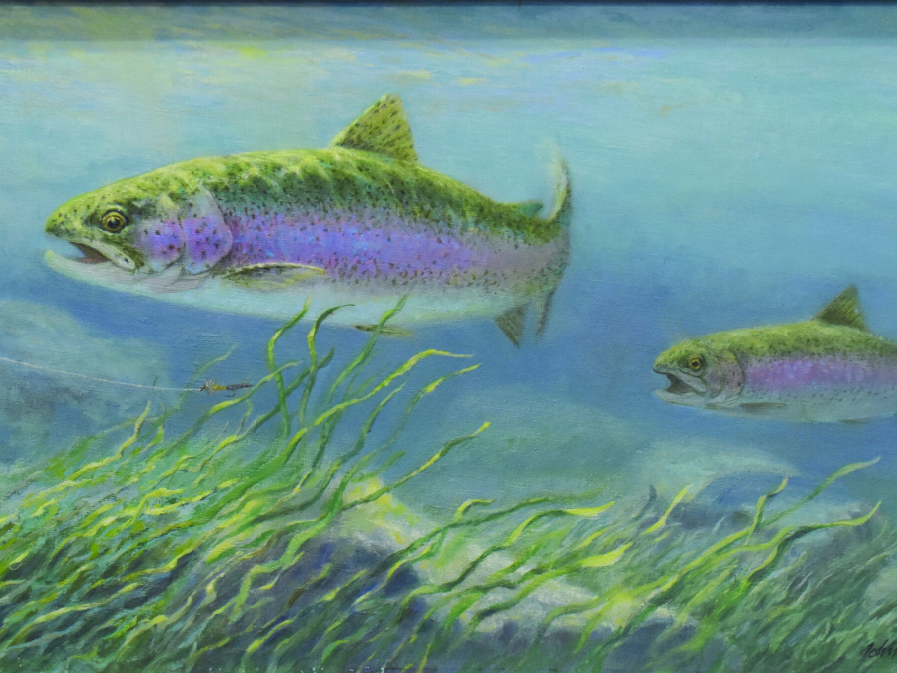 Two rainbow trout swim from right to left in a stream. Long grasses sway at the bottom, and a fly on a line stretches just below the leftmost trout.
