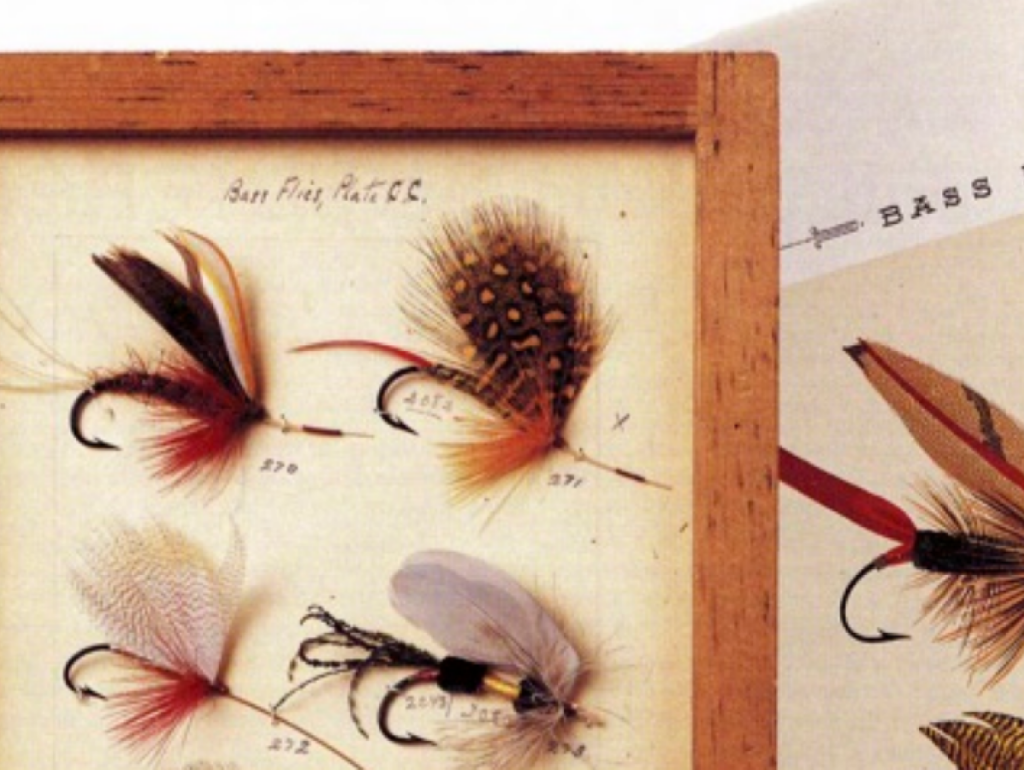 A closeup of four large fishing flies mounted on a wood-framed board. Across the top of the board is, "Bass Flies, Plate C.C." A portion of a color plate from a book is visible behind the framing.